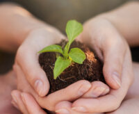 Les fruits de nos actions