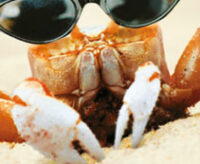 Jeune travailleur·euse ? Active ton mode vacances avec les vacances jeunes !