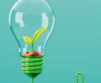 (Très) chère électricité